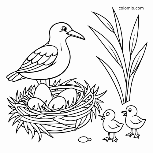 Een vogel staat naast een nest met meerdere eieren, twee kuikens en hoge bladeren in eenvoudige lijntekening.