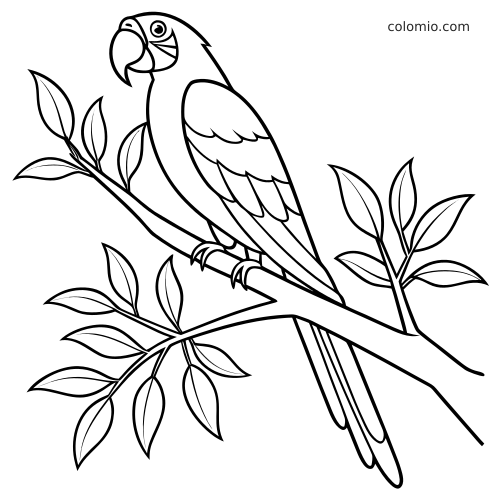Eenvoudige lijntekening van een ara in zijaanzicht, zittend op een tak met bladeren en duidelijke contouren.
