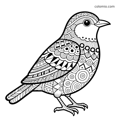 Zwart-witte zijaanzicht van een gedetailleerde zentangle zangvogel met dichte cirkel- en geometrische patronen in de veren.
