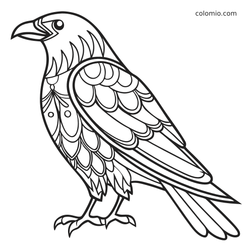 Zwart-witte zijaanzicht van een eenvoudige zentangle raaf met grote snavel en gelaagde veerpatronen.