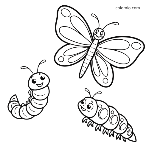 Yksinkertainen piirros perhosen elinkaaresta: hymyilevä perhonen, kotelo ja toukka sarjakuvamaisella tyylillä.