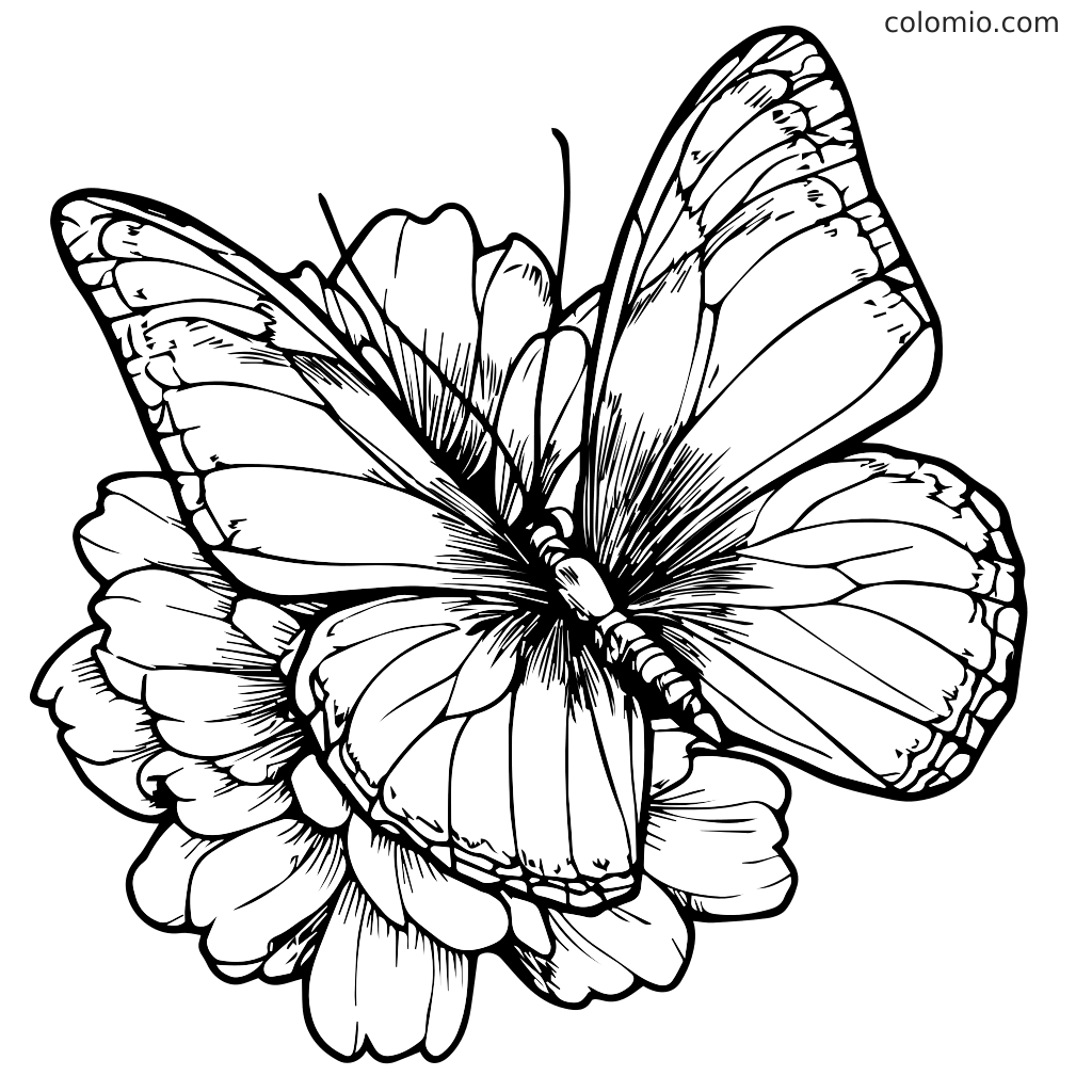 Uma página de colorir detalhada com uma borboleta pousada em uma flor, perfeita para atividades infantis.