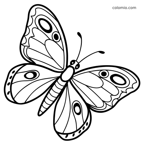 Sarjakuvamainen perhonen edestä katsottuna, pyöristetyt kuvioidut siivet, paksut ääriviivat ja yksinkertainen ilme.