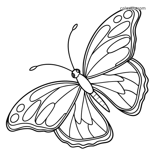A simple butterfly shown in a side view with large patterned wings and clean bold outlines for easy coloring.