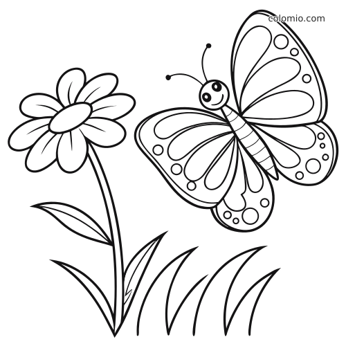 Hymyilevä perhonen leijuu yksinkertaisen kukan vieressä, ja kuvassa näkyy myös ruohoa mustavalkoisena ääriviivapiirroksena.