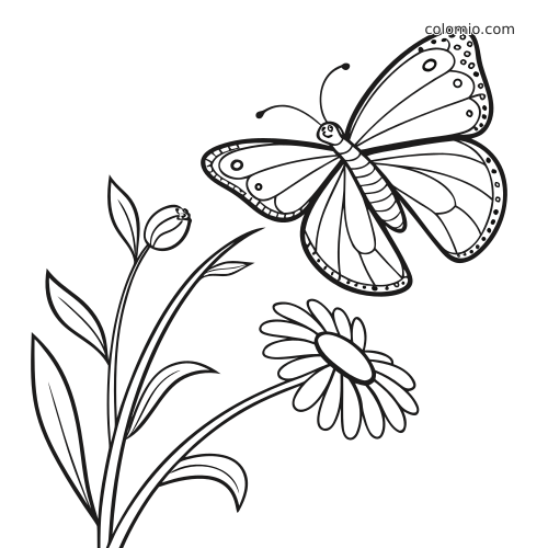 Mustavalkoisessa ääriviivakuvassa perhonen lentää päivänkakkaramaisen kukan vieressä, ympärillä lehtiä ja nuppu.