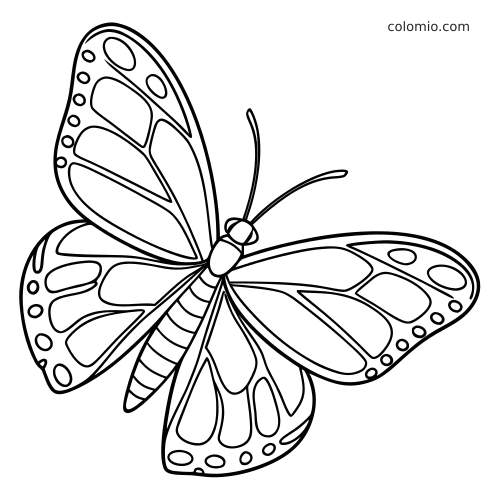 Yksinkertainen viivapiirros monarkkiperhosesta siivet avoinna, paksut ääriviivat ja suuret kuviopinnat värittämiseen.