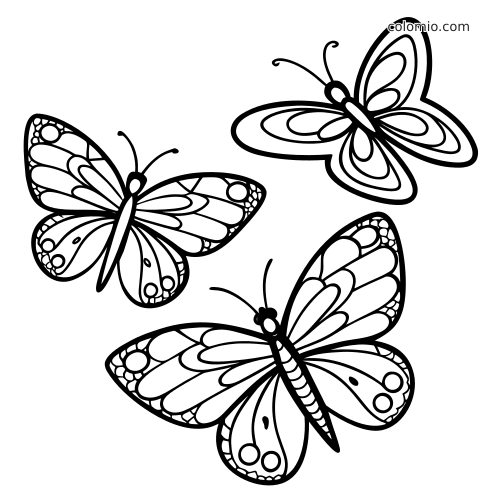 Kolme perhosta selkeällä mustalla ääriviivalla valkoisella taustalla, joista yksi on hyvin yksinkertainen muodoltaan.