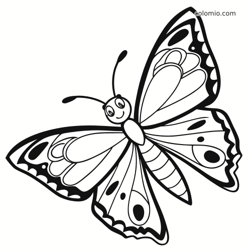 Hymyilevä ritariperhonen, jolla on avoimet siivet sekä selkeät pilkut ja kuviot siivissä.