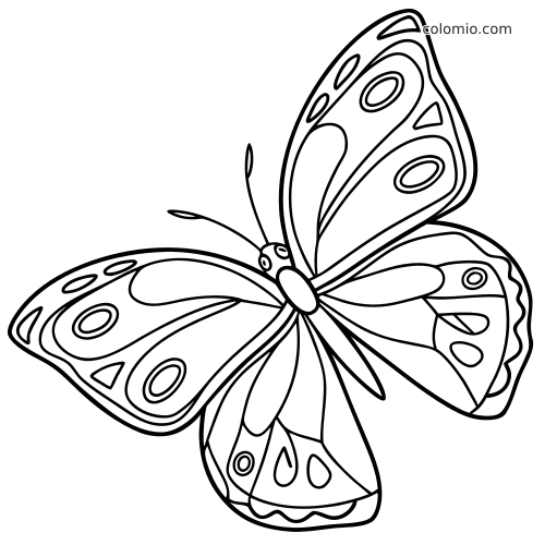 Symmetrinen perhonen selkeänä mustavalkoisena viivapiirroksena, siivissä kuvioita ja paksut ääriviivat värittämistä varten.