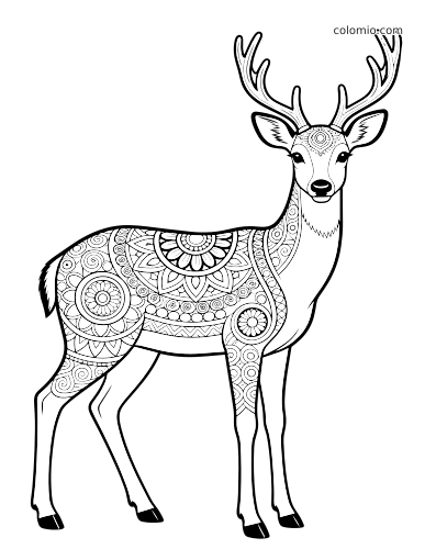 Seisova peura edestä päin, suuret sarvet ja vartalossa yksityiskohtaisia zentangle- ja mandalakuvioita.