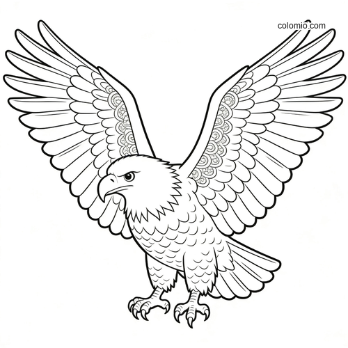 Black-and-white line art of a bald eagle facing forward with both wings fully spread and detailed feathers.