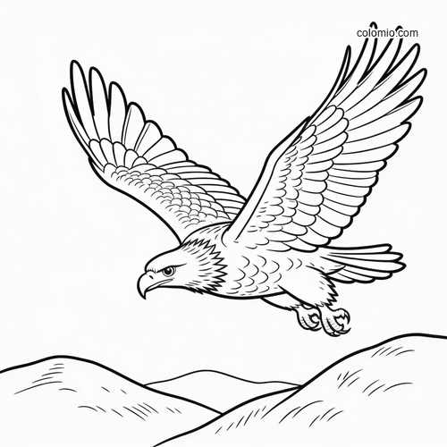 A golden eagle with wings spread wide flies low over rolling hills in a clean black-and-white line drawing.