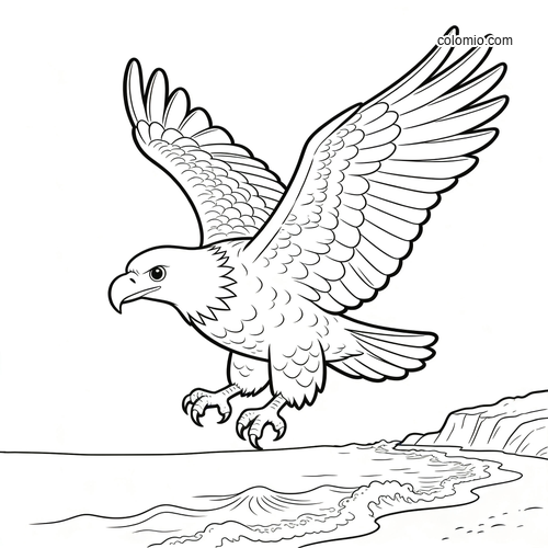 A sea eagle with wings spread wide flies above the shoreline and waves in a clean black-and-white outline drawing.