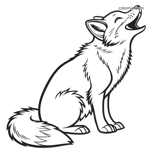 Una volpe artica in bianco e nero seduta, con la testa sollevata e la bocca aperta in posa di ululato.