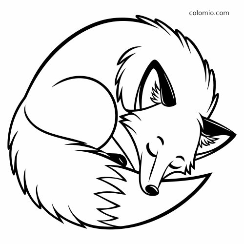 Una volpe addormentata acciambellata su se stessa, in semplice line art in bianco e nero, con coda folta e occhi chiusi.