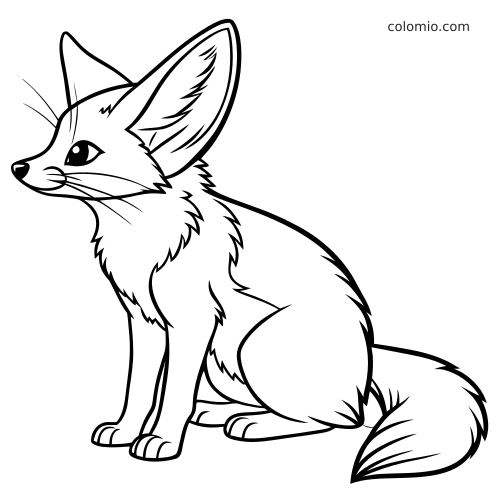 Una volpe del deserto seduta con grandi orecchie appuntite e coda folta, disegnata con semplici contorni neri.