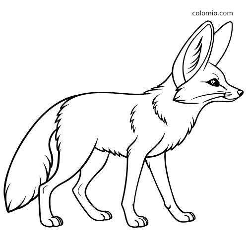 Un fennec del deserto in piedi di profilo, con orecchie molto grandi e coda folta, disegnato con contorni neri puliti.