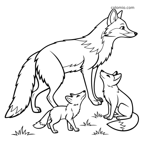 Illustrazione in bianco e nero di una famiglia di volpi con una volpe adulta e due cuccioli su un prato.