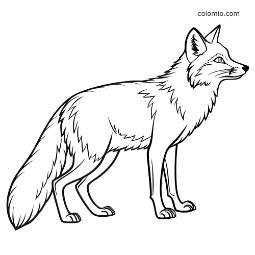 Una volpe rossa realistica in piedi vista di lato, con linee dettagliate del pelo e una grande coda folta.