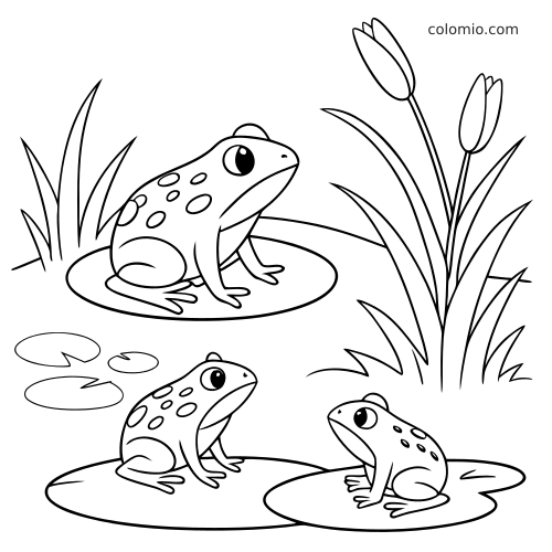 Tre rane sedute su foglie di ninfea in uno stagno, con canne alte e fiori, disegnate con contorni semplici in stile cartoon.