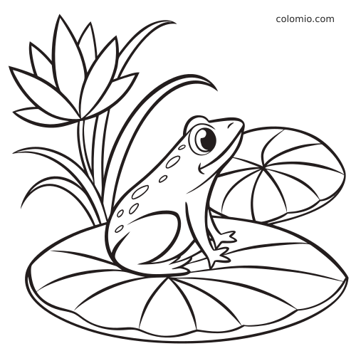 Una rana dagli occhi grandi è seduta su una ninfea, con alte canne e un fiore d'acqua sullo sfondo, in linee semplici in bianco e nero.