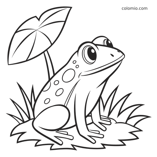 Una rana in stile cartone con grandi occhi è seduta nell'erba accanto a una grande foglia, disegnata con contorni neri semplici.