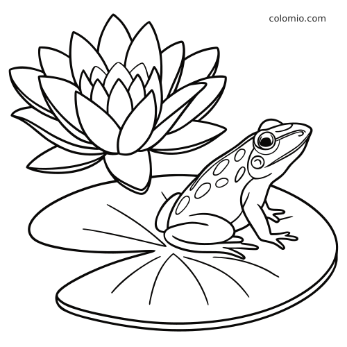 Una rana maculata è seduta su una grande ninfea accanto a un grande fiore di loto in un disegno in bianco e nero.