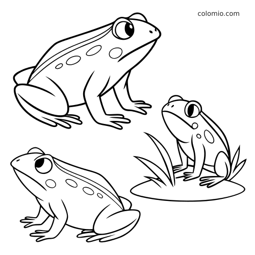 Tre rane in stile cartoon con contorni neri semplici, in pose diverse; una è seduta su una piccola zona erbosa.