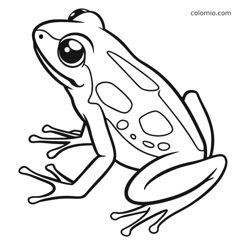 Illustrazione al tratto di una rana freccia velenosa vista di lato, con grande occhio rotondo, macchie sul corpo e zampe lunghe.
