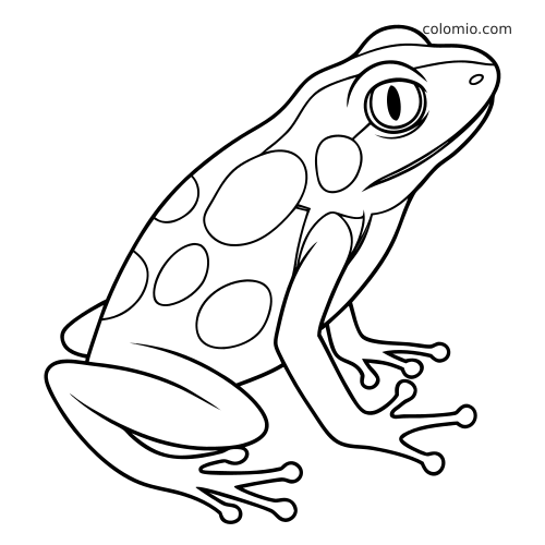 Semplice disegno al tratto di una rana freccia velenosa maculata vista di lato, con occhi grandi e polpastrelli arrotondati.