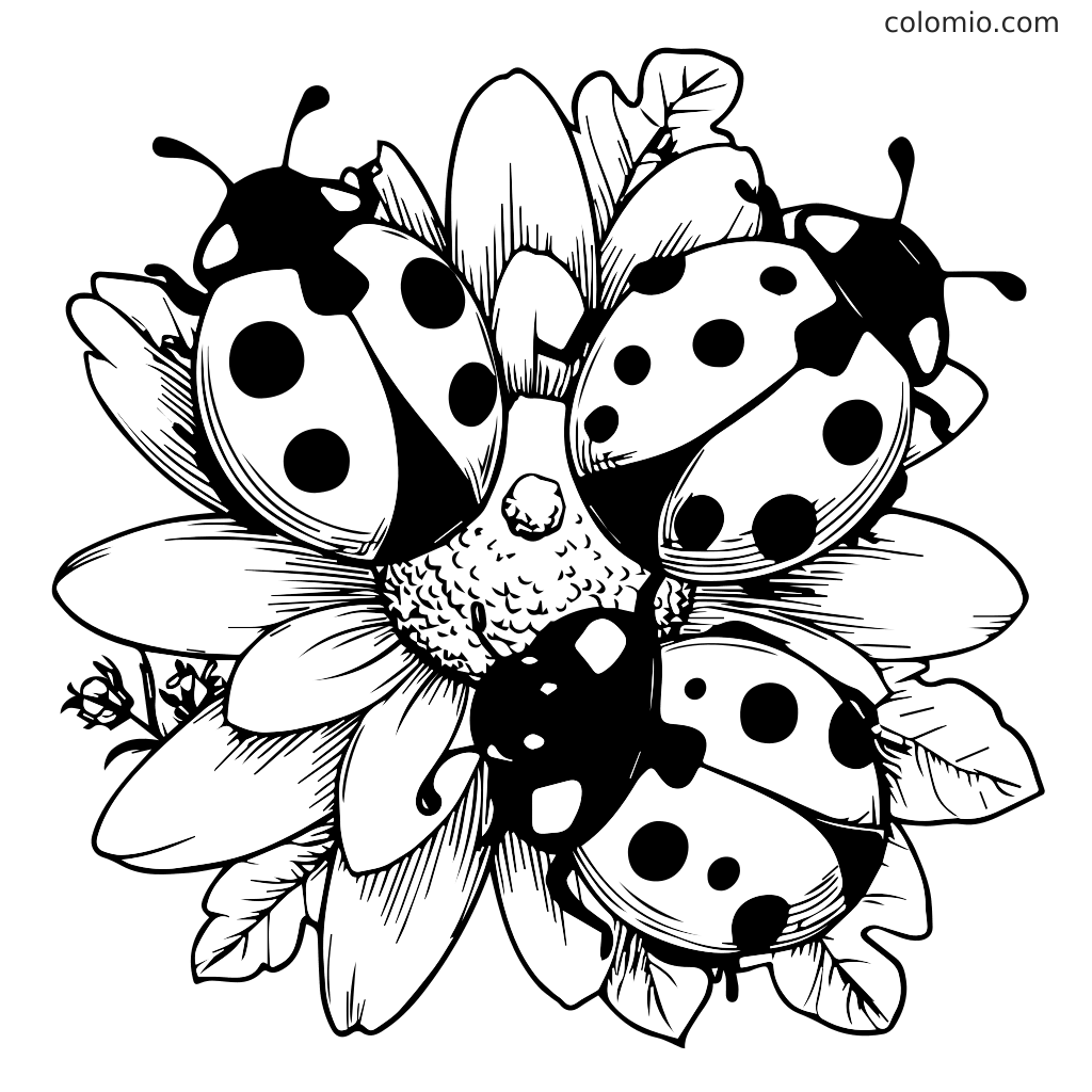 En sort-hvid maleblads side med marihøner på en blomst, perfekt til børn at farvelægge.