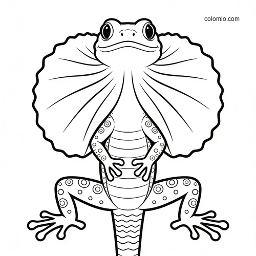 Black-and-white front view of an anole lizard with a large spread throat fan, drawn in a simple cartoon style.