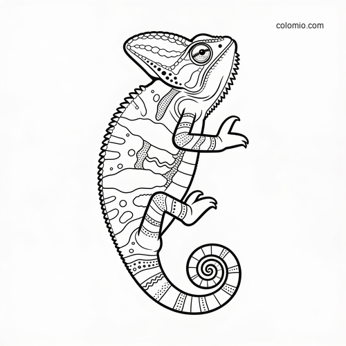 Black-and-white worksheet showing a chameleon in side view with patterned body sections and distinct color zones to fill.