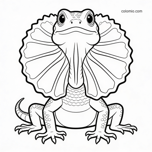 A black-and-white front view of a frilled lizard with its frill spread wide, drawn in a simple cartoon outline style.