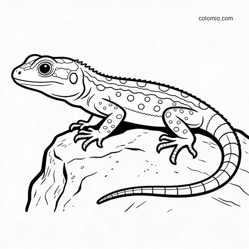 Black-and-white line art of a realistic lizard in side view standing on a rock, with spotted body details and a long curved tail.