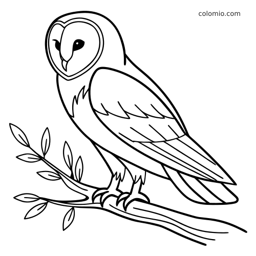 Desenho de linha simples de uma coruja-das-torres pousada em um galho com folhas, vista de lado e contornos limpos.