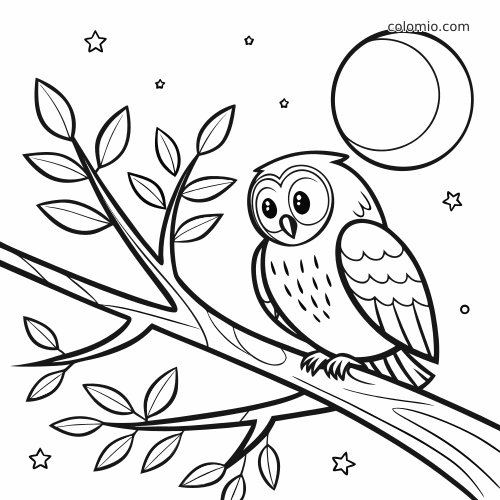 Uma coruja de desenho animado com olhos grandes está pousada em um galho, com uma lua grande e estrelas no céu noturno.