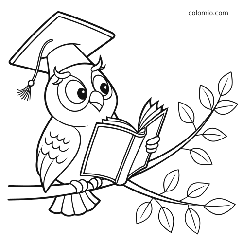 Uma coruja com chapéu de formatura lê um livro aberto enquanto está pousada em um galho com folhas, em estilo simples.
