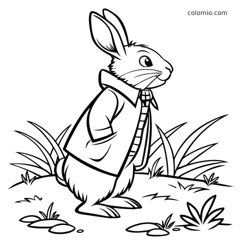 Un coniglio in piedi con giacca e sciarpa a righe, circondato da erba e piante, in un disegno al tratto in stile Peter Rabbit.