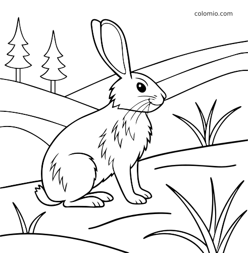 Disegno al tratto di un coniglio seduto tra colline innevate, con alberi di pino e ciuffi d’erba sullo sfondo.
