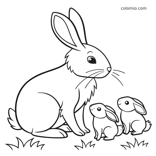 Un semplice disegno in bianco e nero mostra una mamma coniglia seduta accanto a due piccoli coniglietti su ciuffi d’erba.
