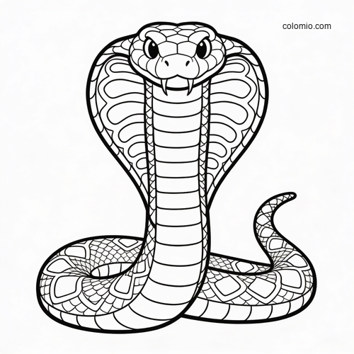A black-and-white front-facing king cobra with its hood fully spread, coiled body, and detailed scale patterns.