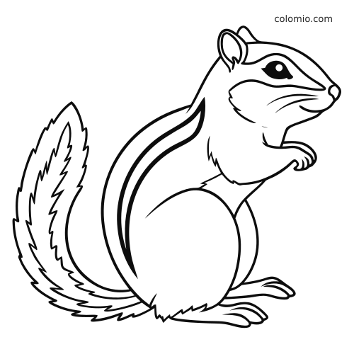 Prosta czarno-biała pręgowana wiewiórka pokazana z boku, z paskami na grzbiecie i puszystym ogonem.