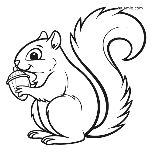 Puszysta kreskówkowa wiewiórka z dużym, zawiniętym ogonem trzyma żołądź na ilustracji konturowej do kolorowania.