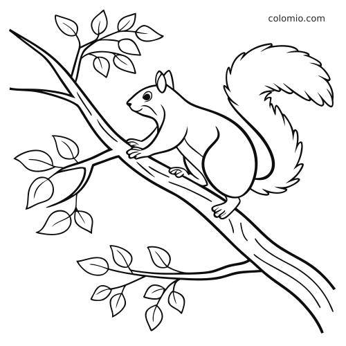 Prosty rysunek konturowy przedstawiający wiewiórkę skaczącą po gałęzi drzewa, z liśćmi i dużym puszystym ogonem.