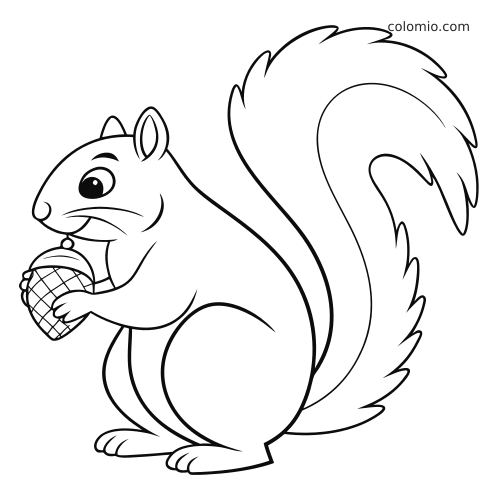 Prosta rysunkowa wiewiórka siedzi wyprostowana i trzyma duży żołądź, narysowana grubym, wyraźnym konturem.
