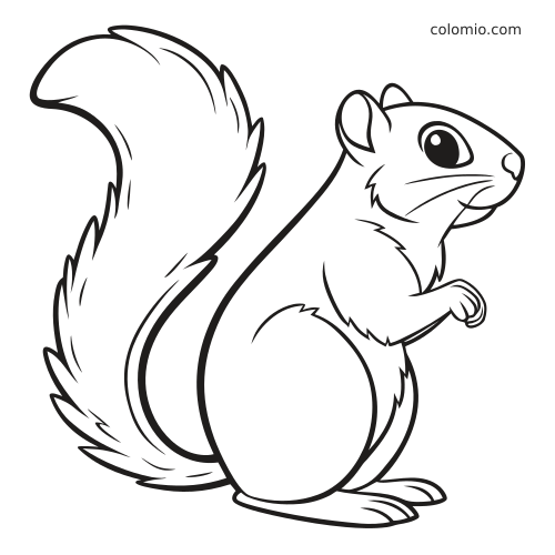 Czarno-biały kontur stojącej wiewiórki z dużym puszystym ogonem i uniesioną przednią łapką.