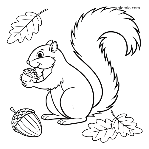 Prosta rysunkowa wiewiórka trzyma żołądź, obok widać duży żołądź i dwa liście dębu.