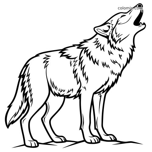 Lijntekening van een huilende wolf in zijaanzicht, met ruige vacht, duidelijke contouren en het hele lichaam zichtbaar.